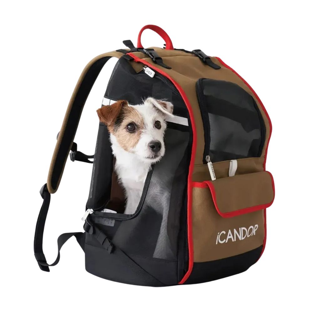 iCandor - Jige Breathable firm pet backpack - Vivid Khaki