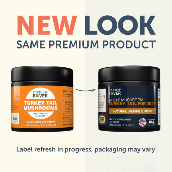 Turkey Tail Mushroom | Immune Booster Dog Supplement