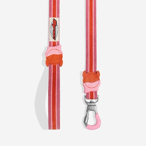 Courtney Velvet Vibes Leash-5