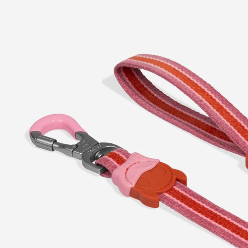 Courtney Velvet Vibes Leash-2