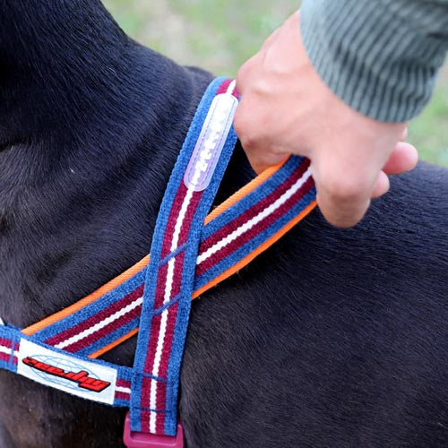 Dropout Velvet Vibes Softer Walk Harness-3