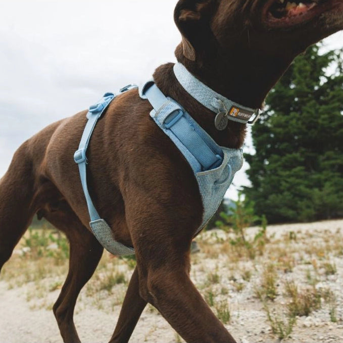 Front Range™ Flex Knit Dog Collar (4 Colours)