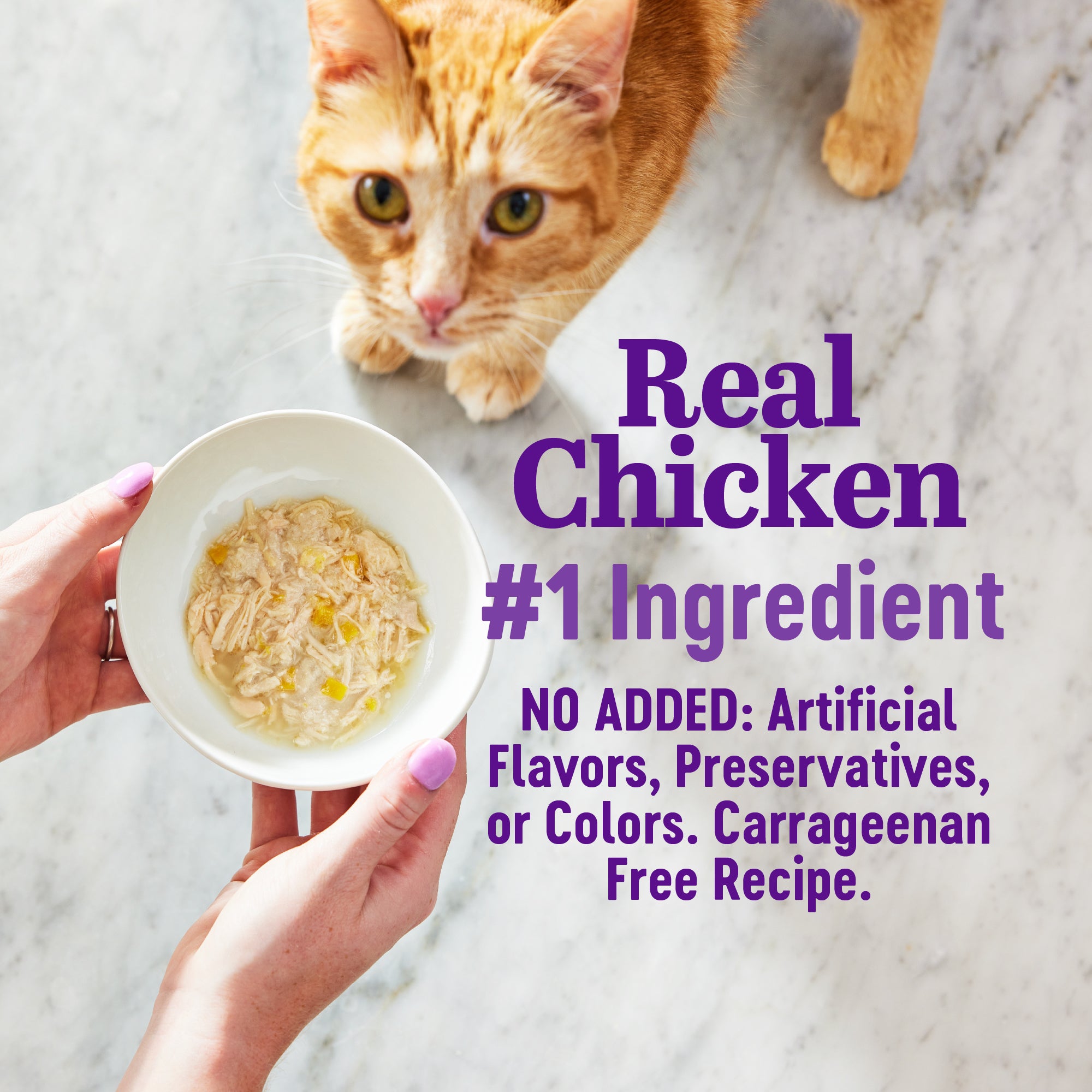 Appetizing Entrees Mousse Chicken Adult Pouch Cat Food (1.4 oz)