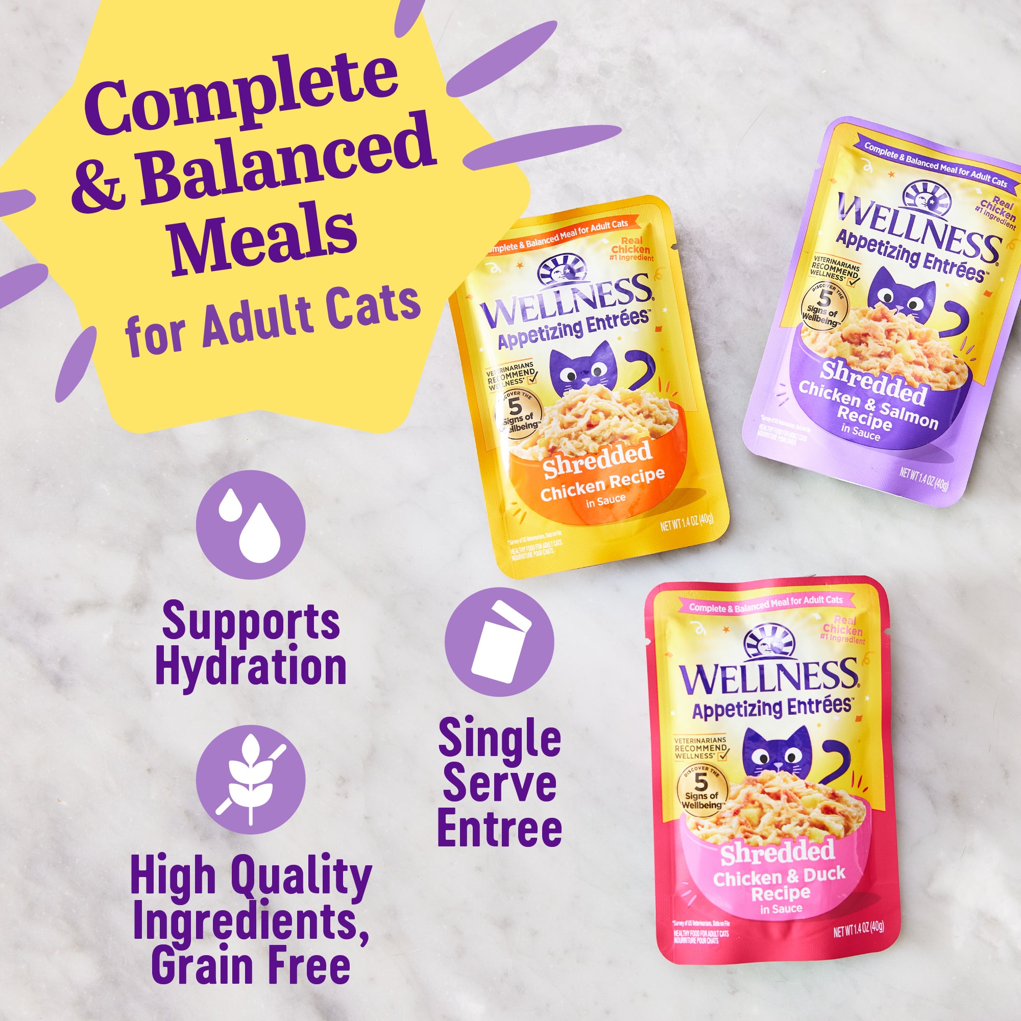 Appetizing Entrees Shredded Chicken & Salmon Recipe Wet Cat Food (1.4 oz)