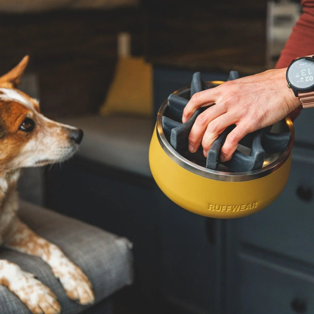 Basecamp™ Sound-Dampening Hard-Sided Dog Bowl (2 Colours)