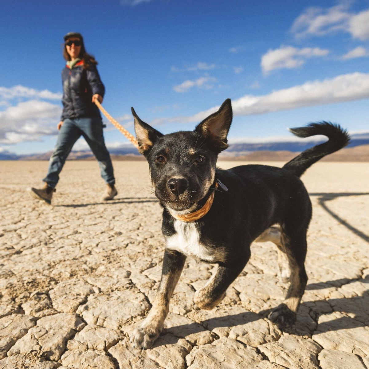 Crag™ Hands-Free Dog Leash
