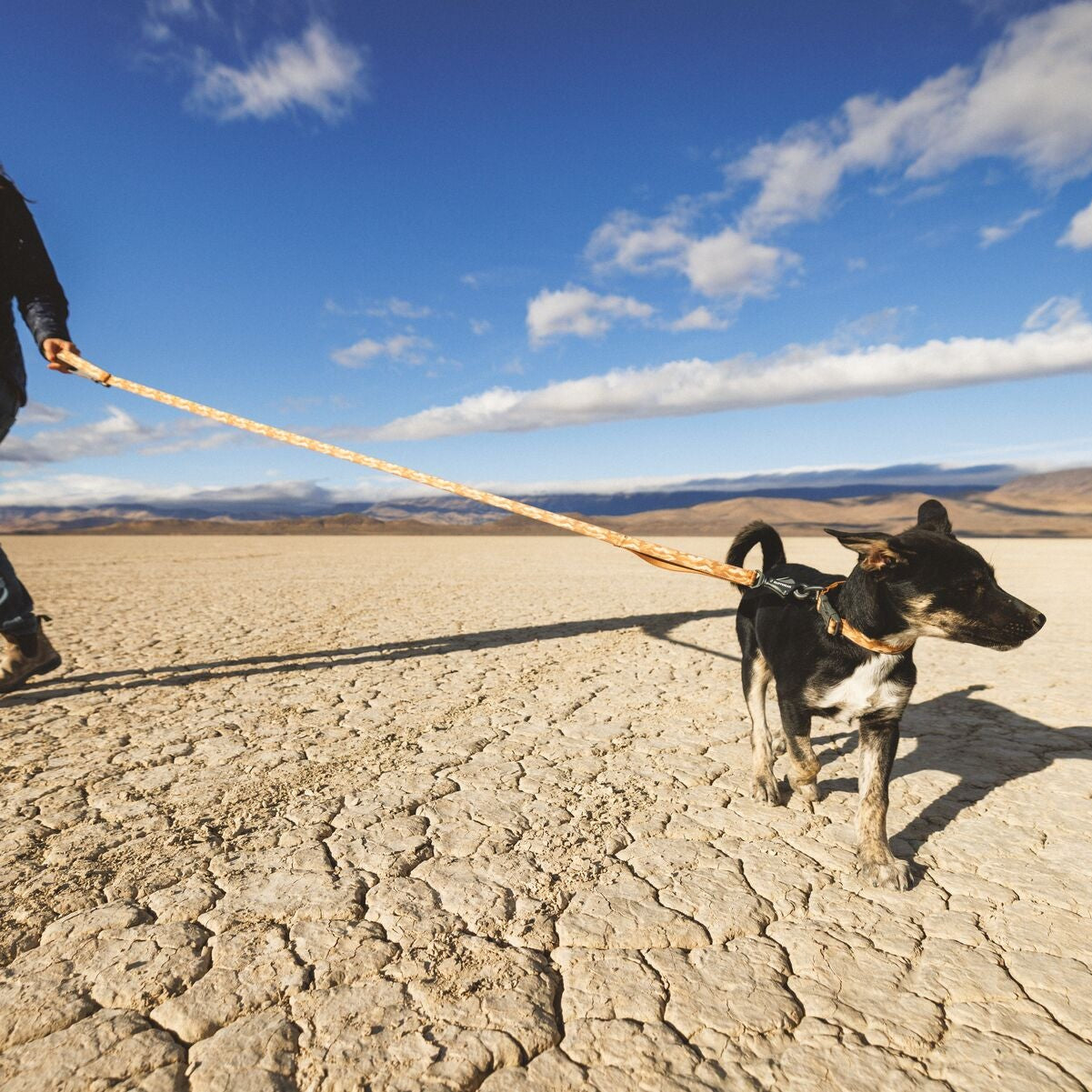 Crag™ Hands-Free Dog Leash