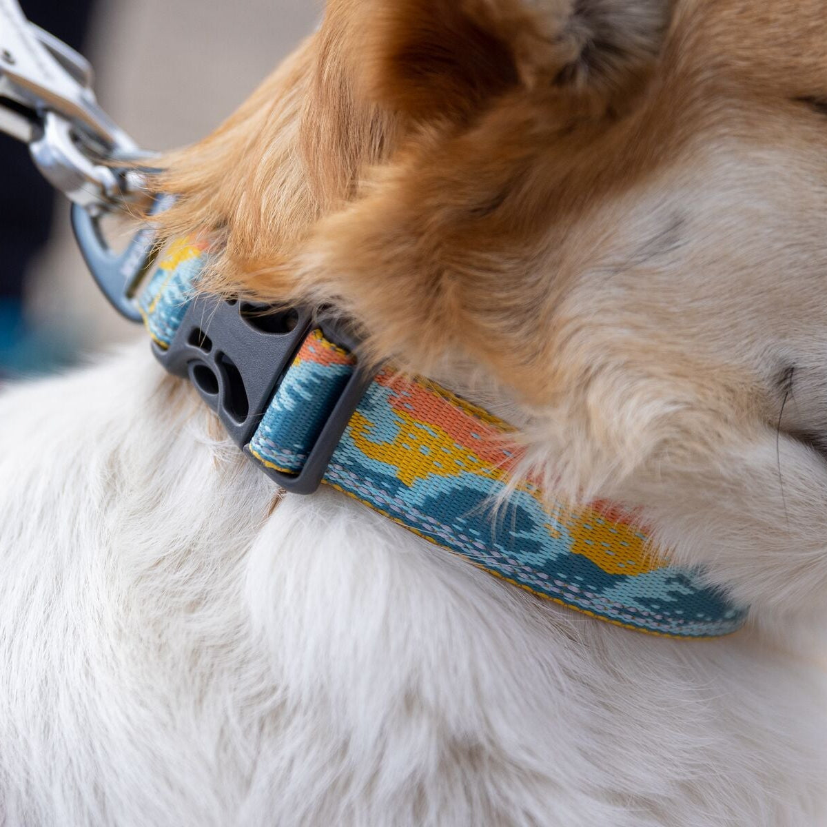 Crag™ Reflective Dog Collar