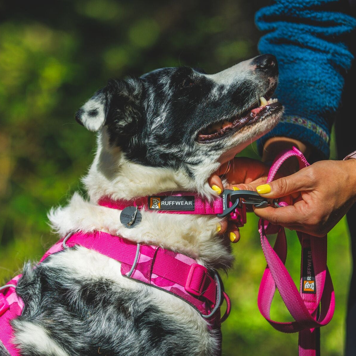 Front Range™ Soft & Durable Everyday Dog Collar
