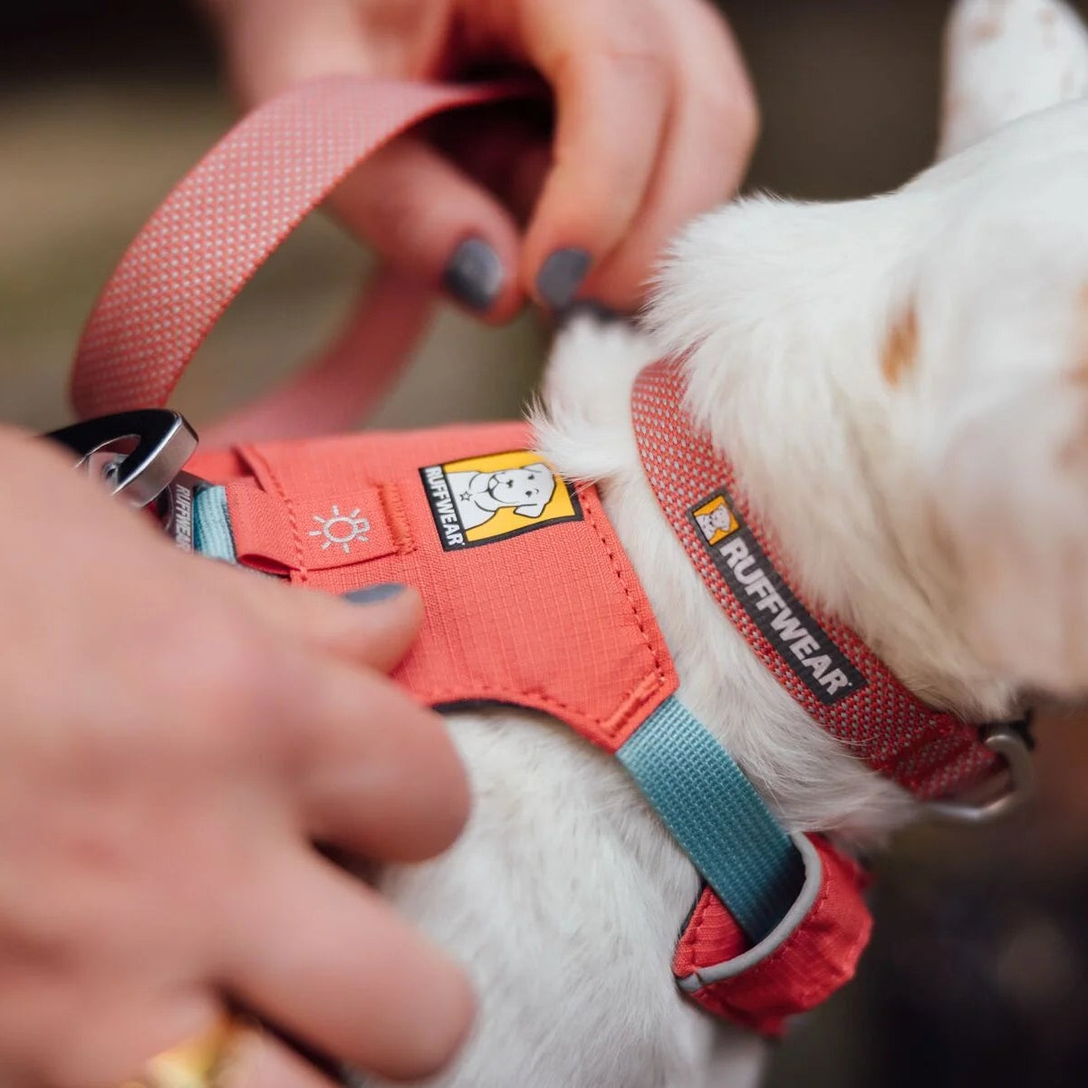 Hi & Light™ Lightweight Dog Harness (4 Colours)