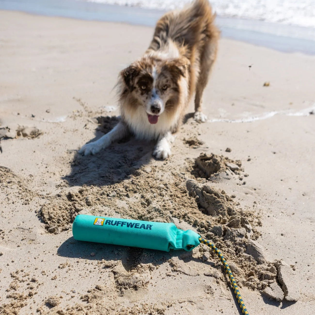 Lunker™ Floating Throw & Tug Dog Toy