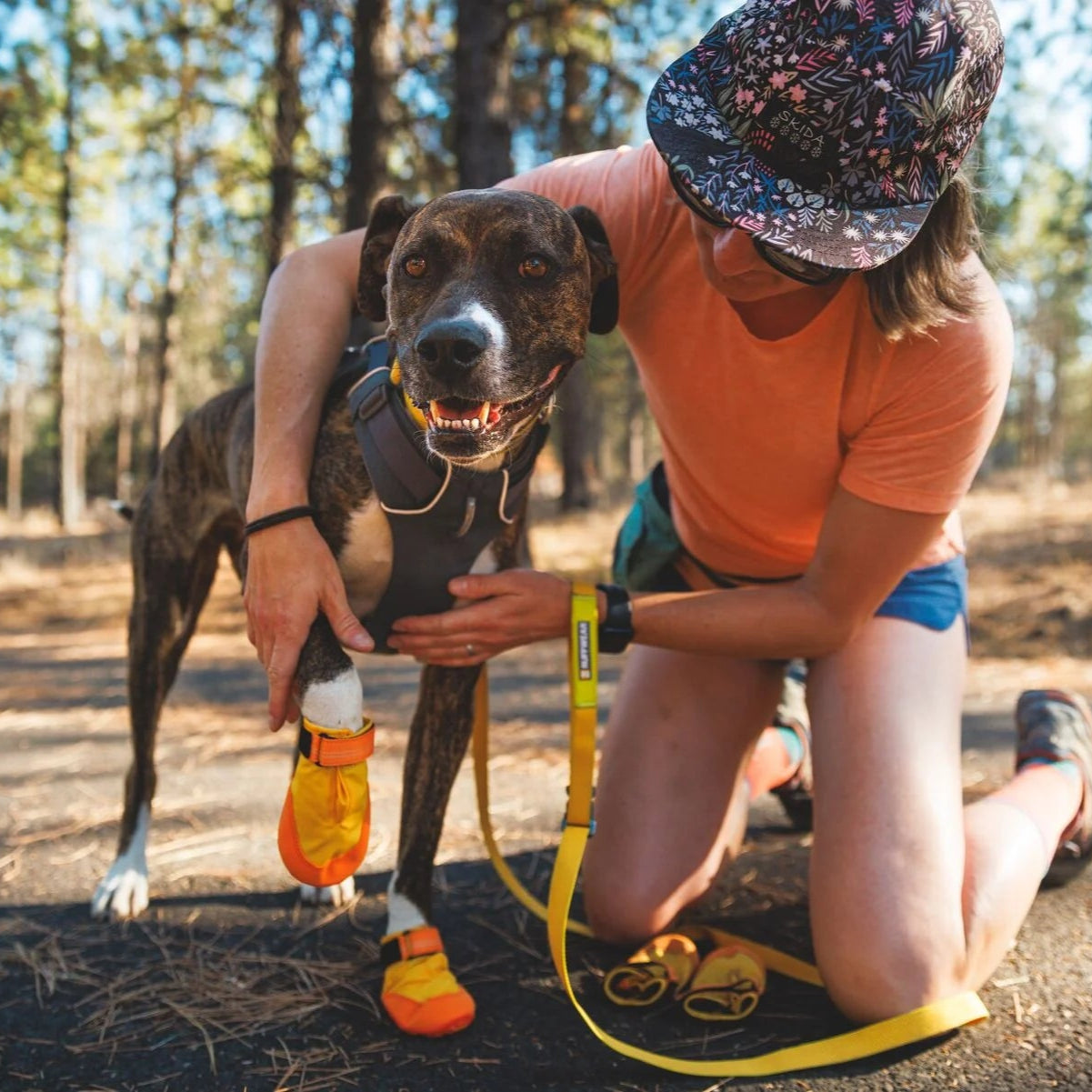 Summit Trex™ All-Season Dog Boots (2 Colours)