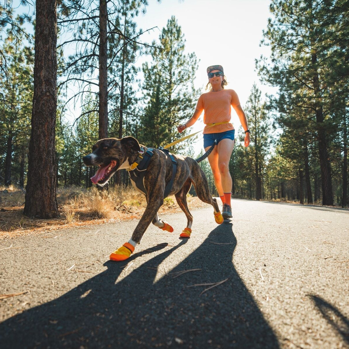 Summit Trex™ All-Season Dog Boots (2 Colours)