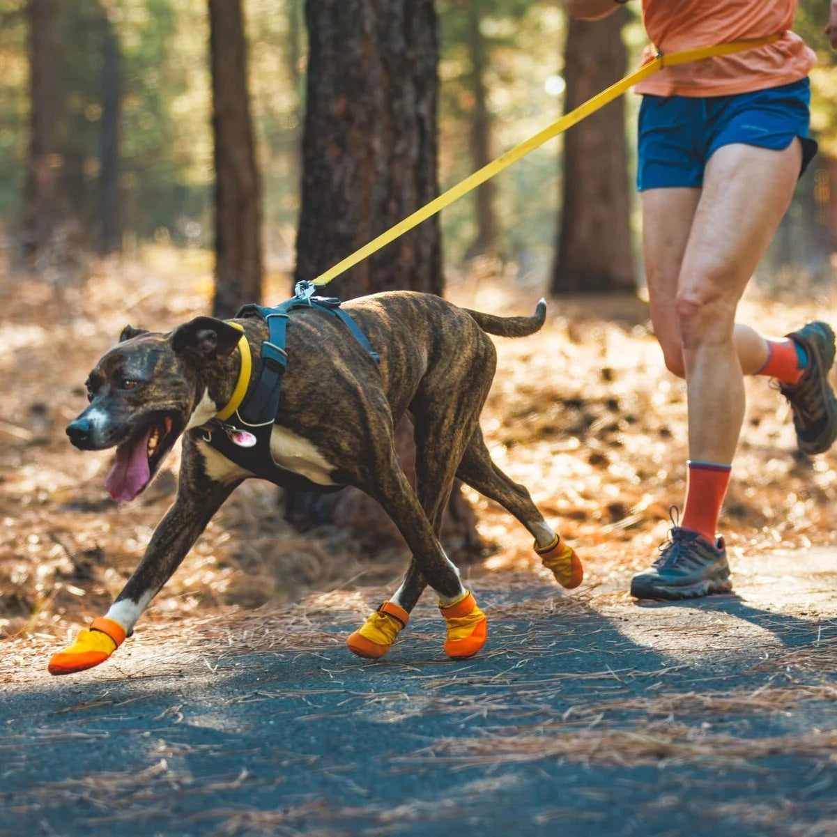 Summit Trex™ All-Season Dog Boots (2 Colours)