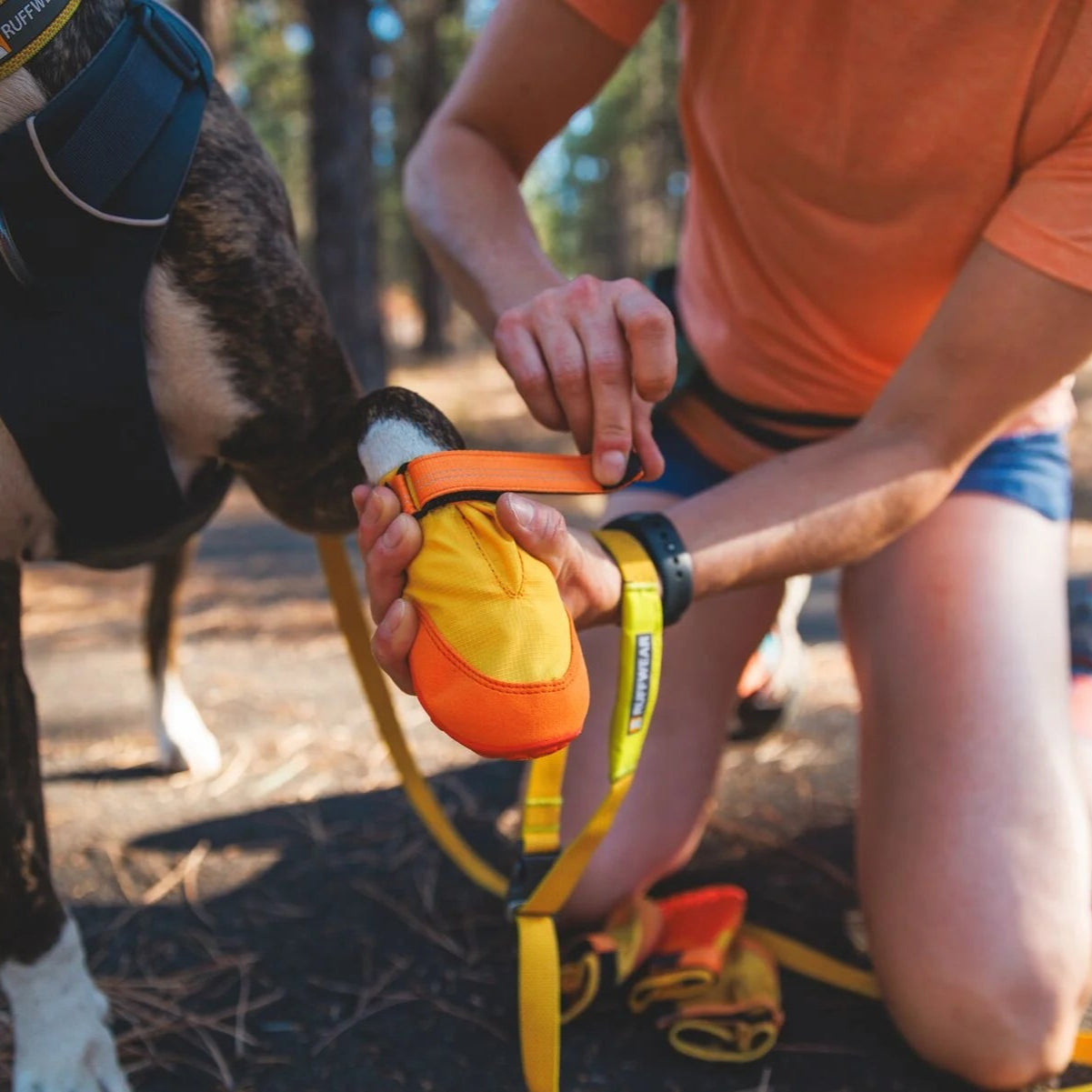 Ruffwear - Summit Trex™ All-Season Dog Boots | CreatureLand