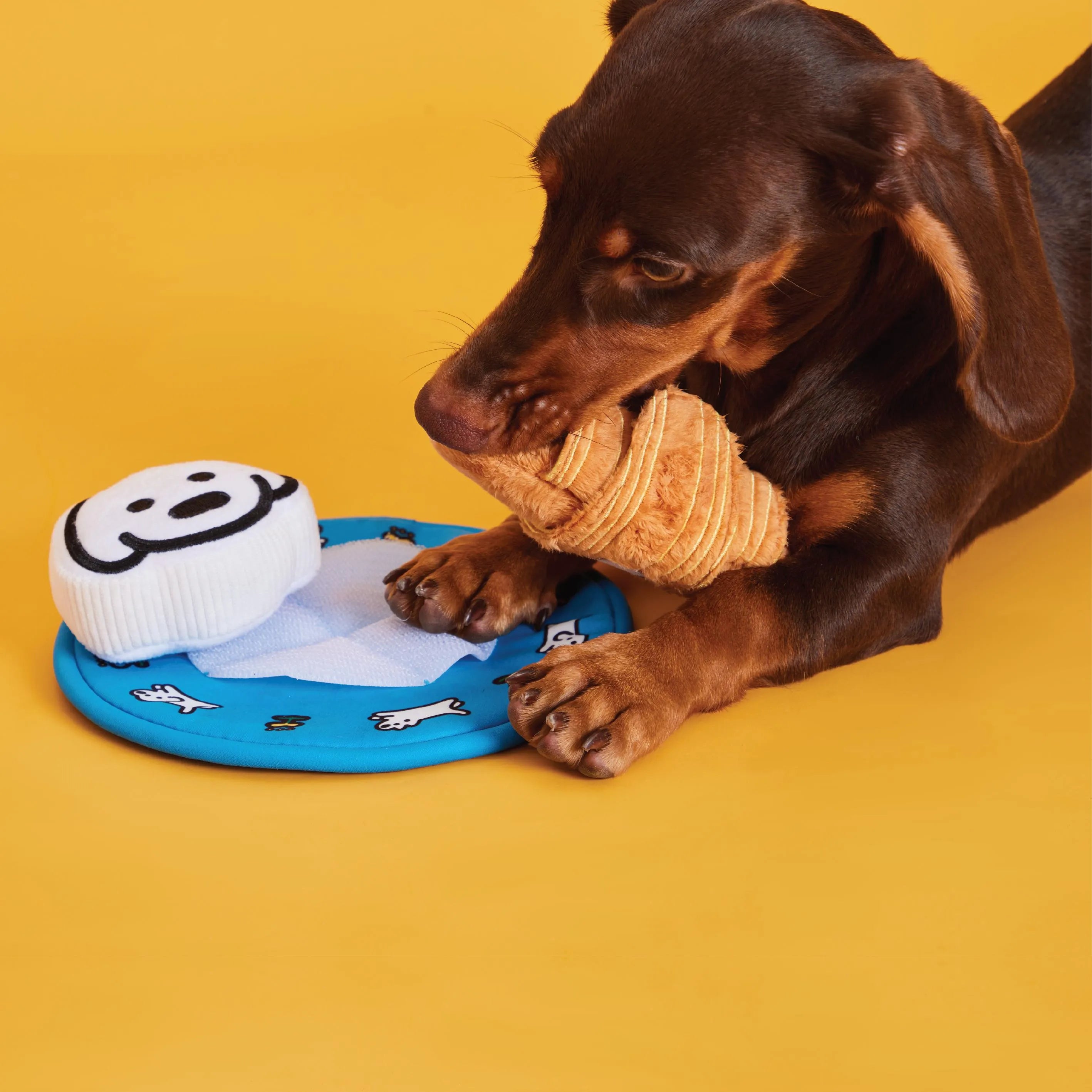 Matsui Dogs x PP Lab Hong Kong Buns Nosework Toy Blind Box