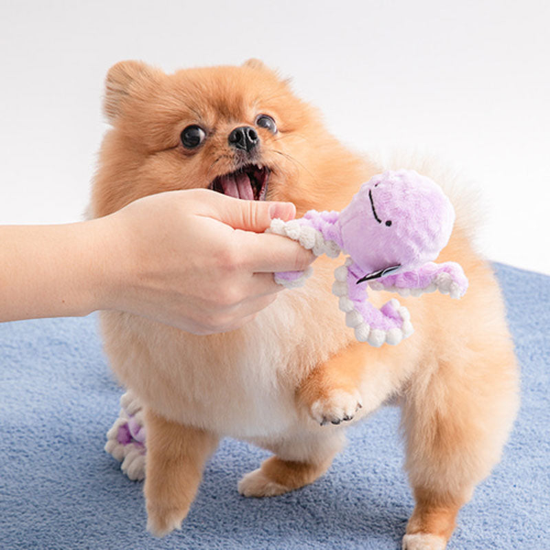 Long Hands Dog Ball Toy (Frog, Octopus)