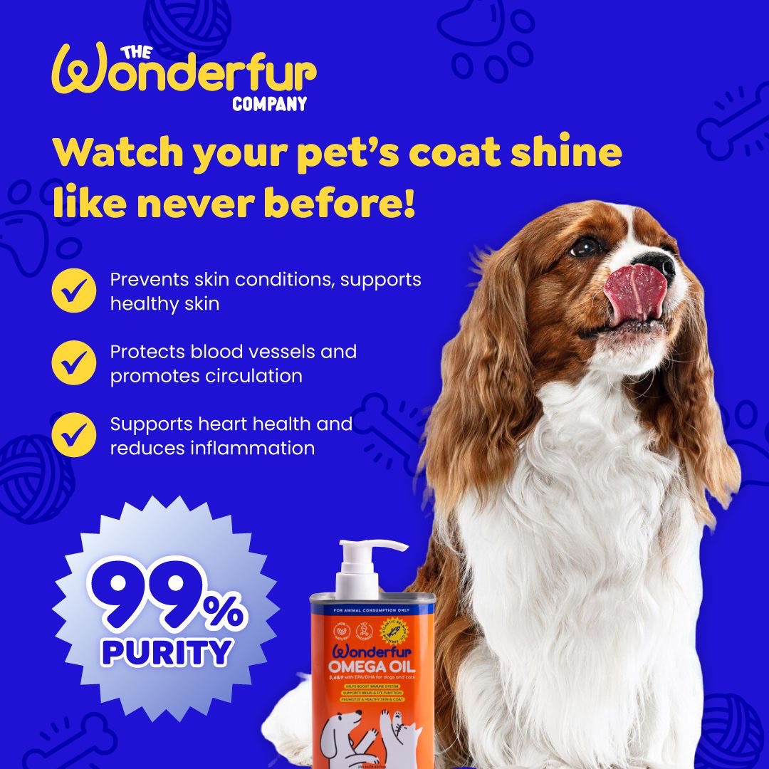 Super Omega Oil for Dogs & Cats (250ml)