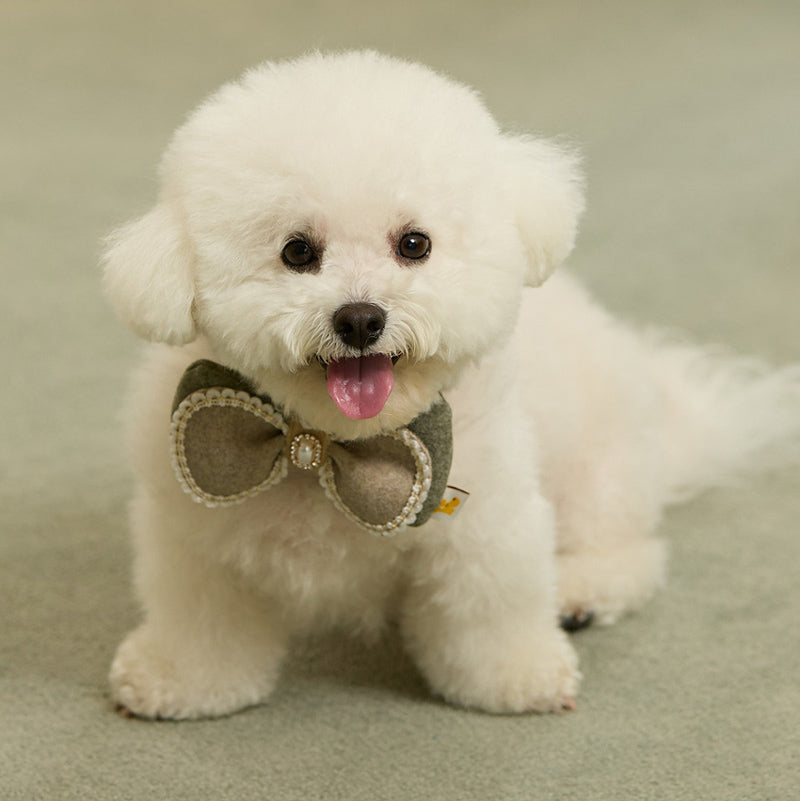 Winter Night Pet Collar Clip (Bow)