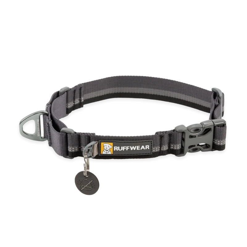 Web Reaction™ Reflective Martingale Dog Collar With Buckle (3 Colours)