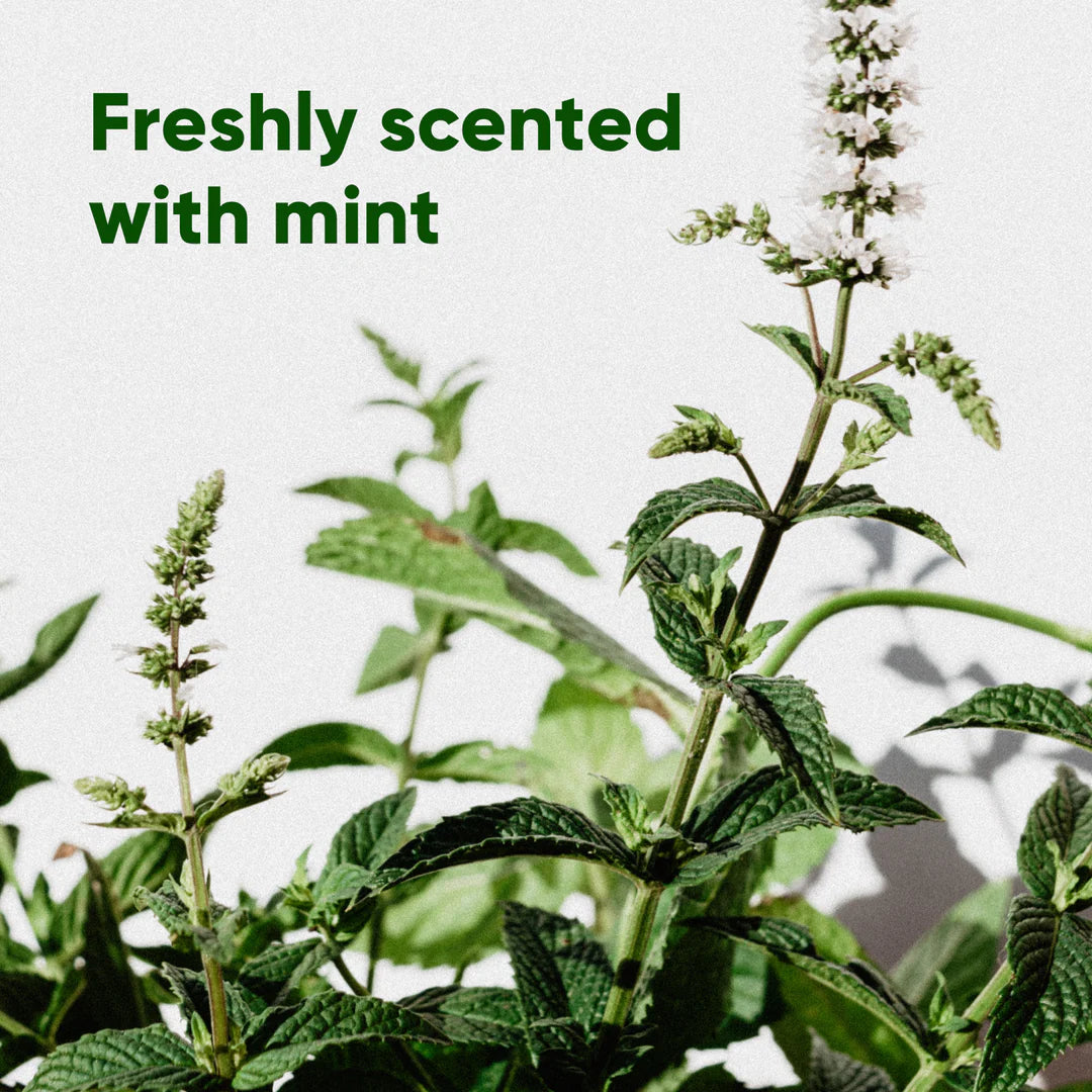 Beco Poop Bags – Leak-Proof, 100% Recycled Plastic (Mint Scented)