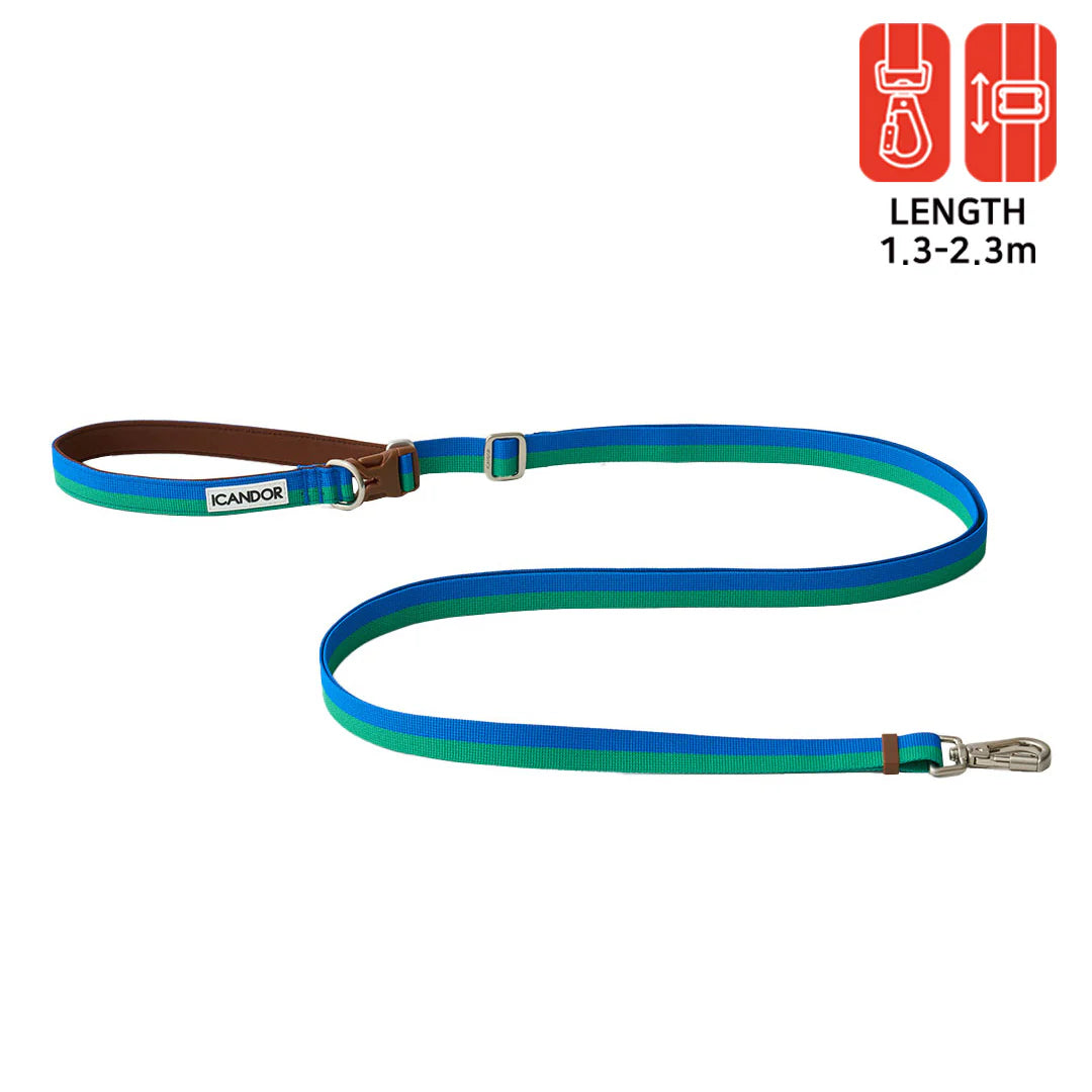 Gentle Adjustable Bolt Leash – Regular & Hands-Free Walk | Forest