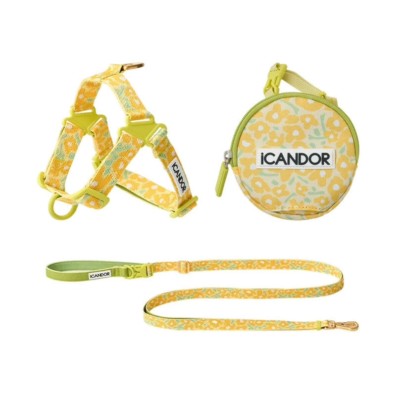 iCandor 3-in-1 Walking Kit: Big Fish Yellow