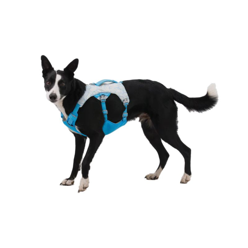 RUFFWEAR Swamp Cooler ハーネス XXS Ruffwear – Swamp Cooler™ Dog Cooling Harness | CreatureLand.