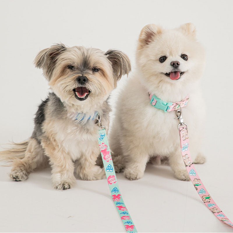 Bite Me Bite Me X Pokori Friends | Adventure Dog Collar (3 Designs) - CreatureLand