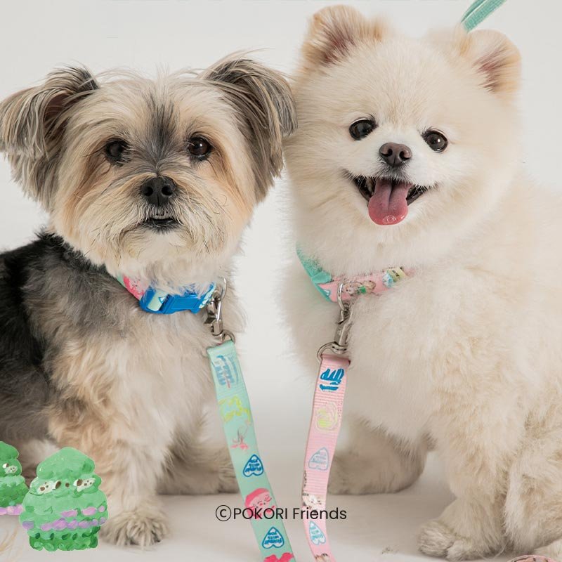 Bite Me Bite Me X Pokori Friends | Adventure Dog Collar (3 Designs) - CreatureLand