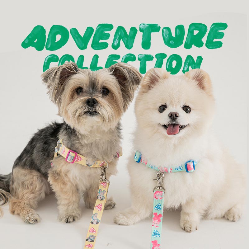 Bite Me Bite Me X Pokori Friends | Adventure Easy L - Harness (3 Designs) - CreatureLand