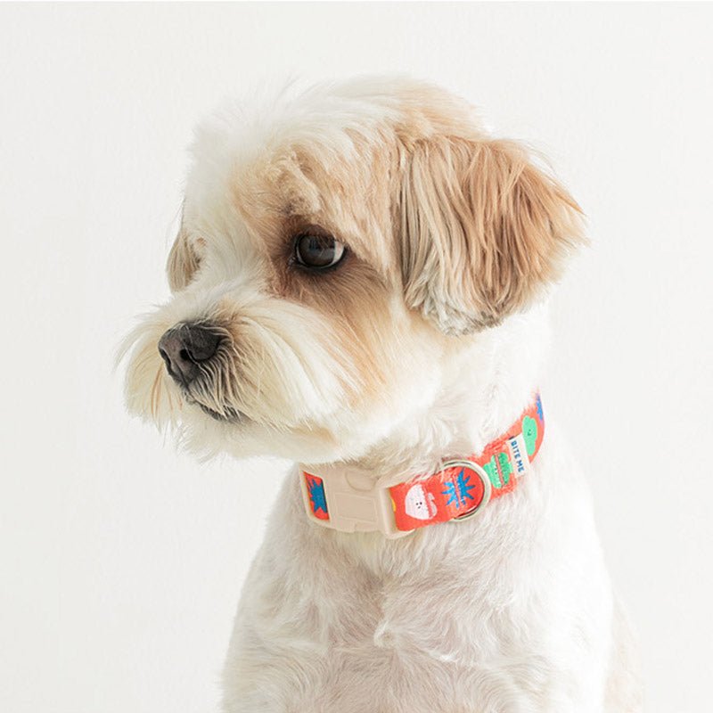 Bite Me Bite Me x PPP Studio | Dog Collar (2 Designs) - CreatureLand