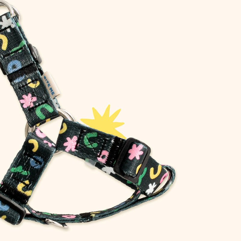 Bite Me Bite Me x PPP Studio | Pet Harness (2 Designs) - CreatureLand