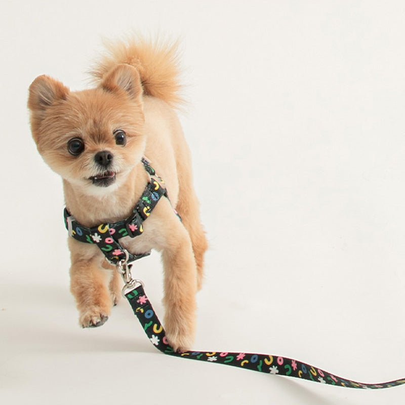 Bite Me Bite Me x PPP Studio | Pet Harness (2 Designs) - CreatureLand