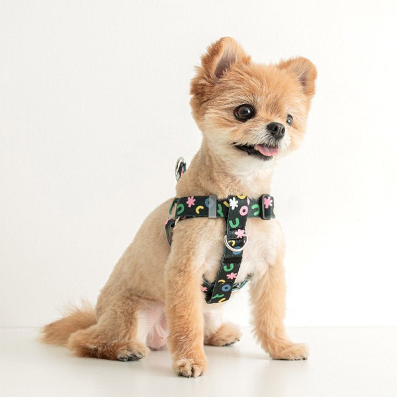 Bite Me Bite Me x PPP Studio | Pet Harness (2 Designs) - CreatureLand