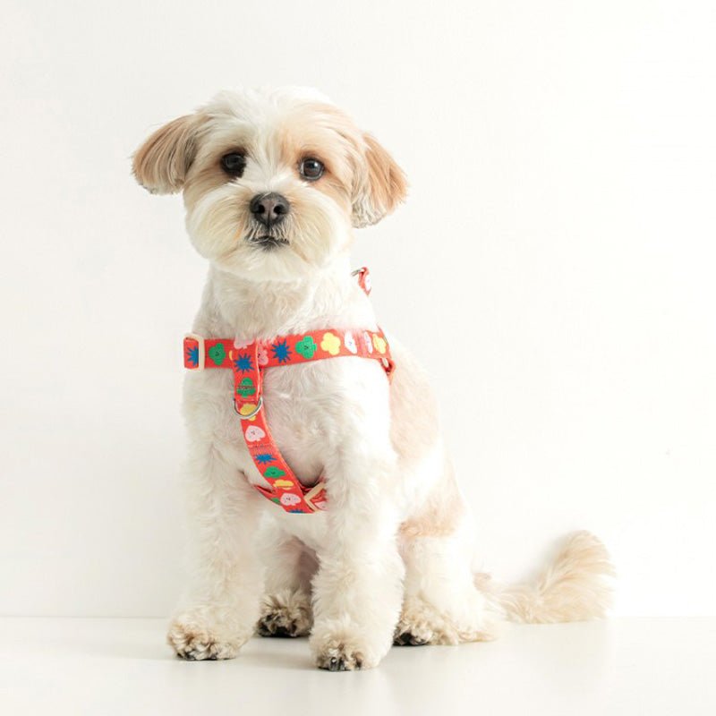 Bite Me Bite Me x PPP Studio | Pet Harness (2 Designs) - CreatureLand