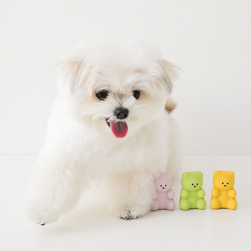 Bite Me Little Jelly Bear Latex Dog Toy (Set of 3) - CreatureLand