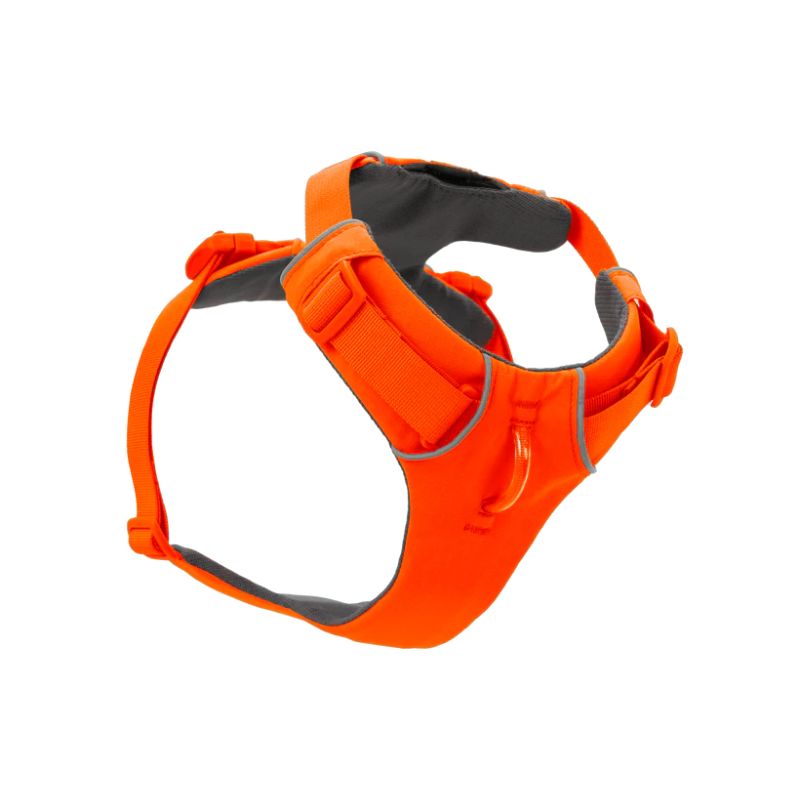 Front Range® Padded Dog Harness (8 Colours)