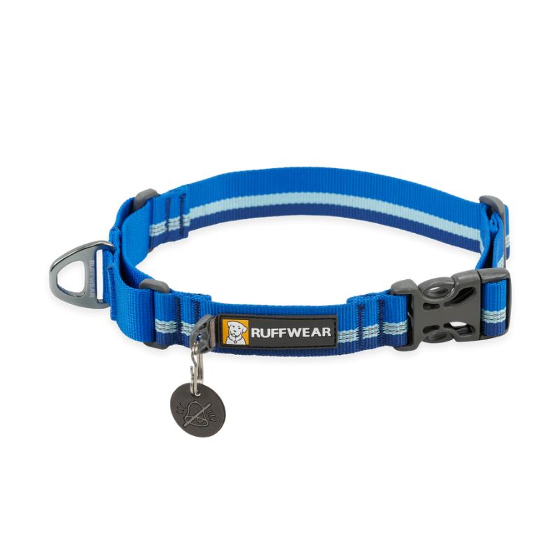 Web Reaction™ Reflective Martingale Dog Collar With Buckle (3 Colours)