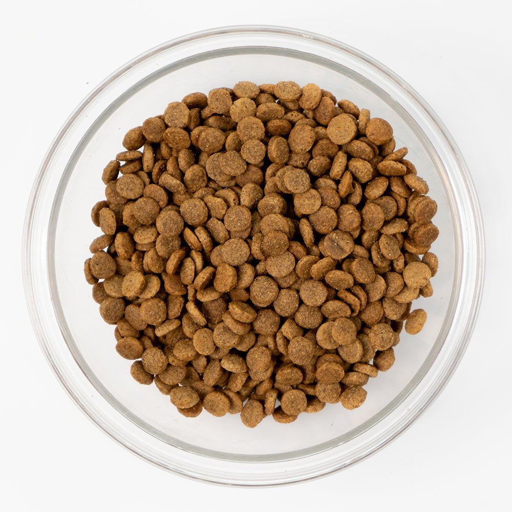 Boneve Earthmade Free-Range Grass-Fed Beef Cat Dry Food (3 Sizes) - CreatureLand