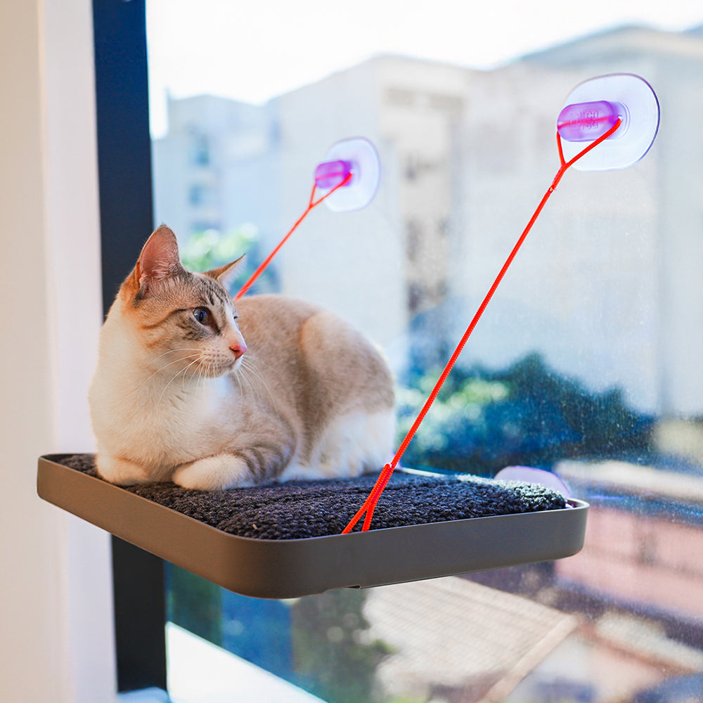 CDSG x Zee.Cat - Sky.Bed Cat Window Hammock