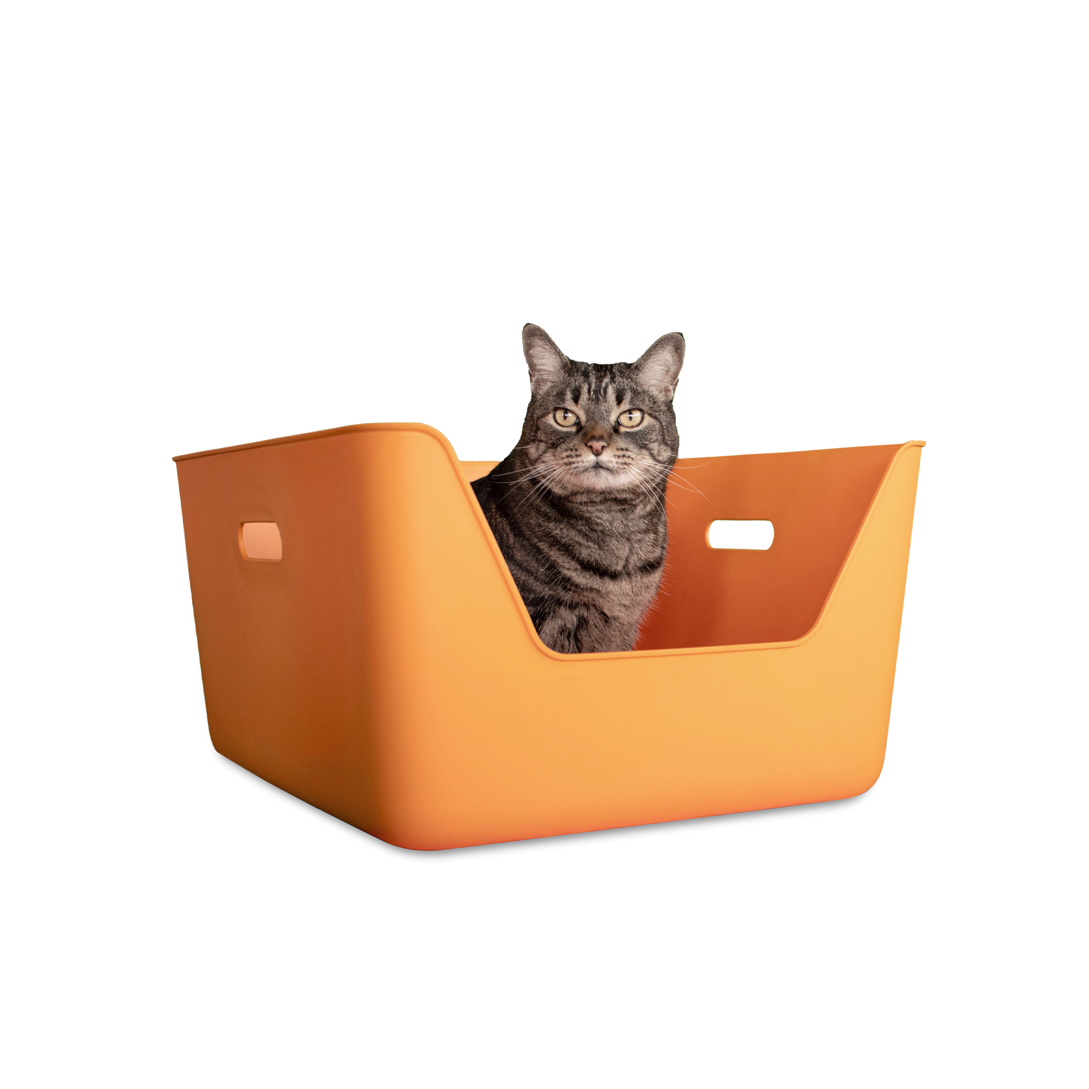 CDSG Cat Litter Box | Orange