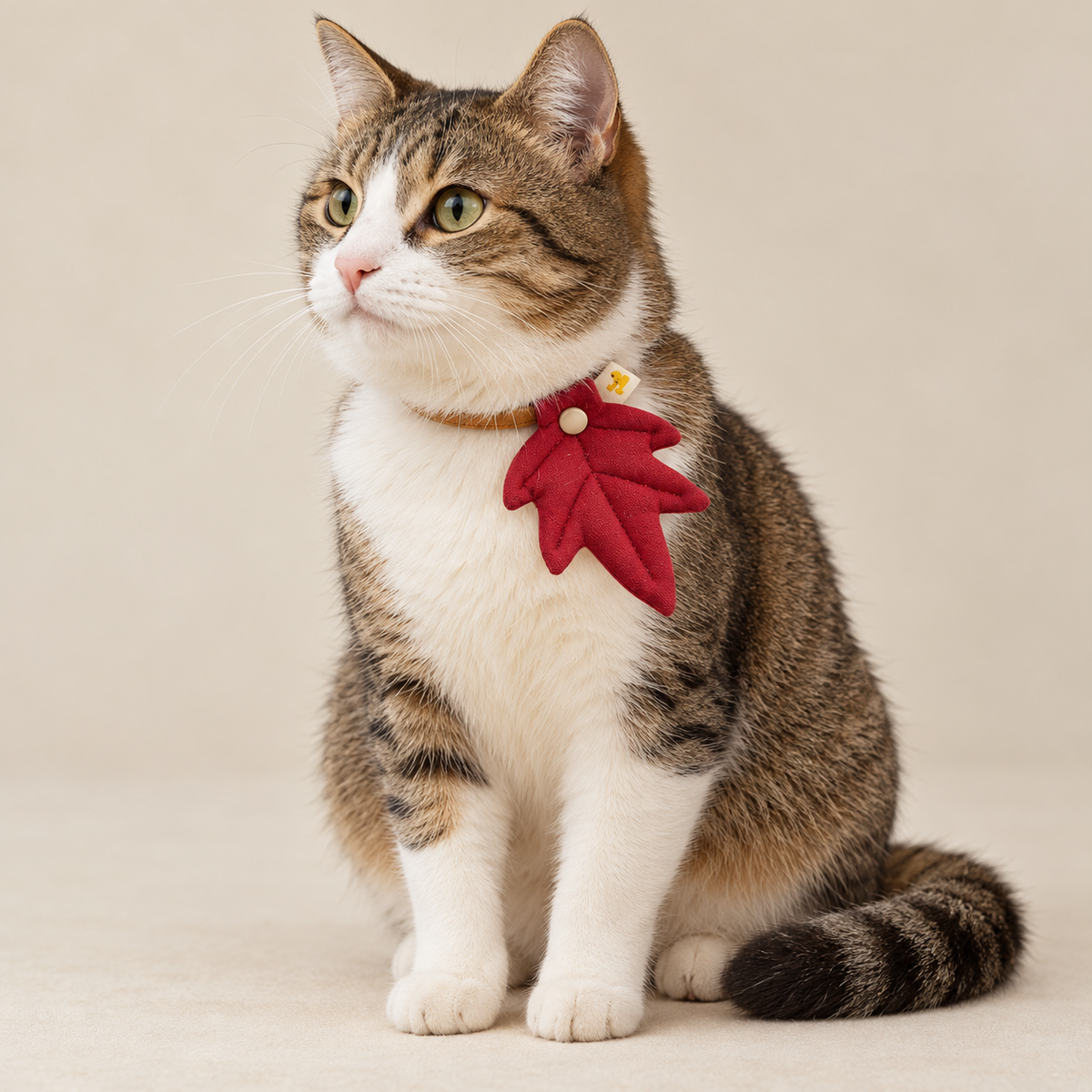 Hikoinu Maple Leaf Pet Collar Clip - CreatureLand