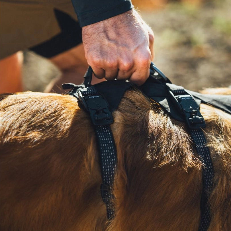 Ridgeline™ Reflective Harness with Magnetic Buckles | Obsidian Black