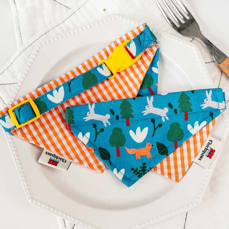 Chichipaws Reversible Design Bib (4 Designs) - CreatureLand