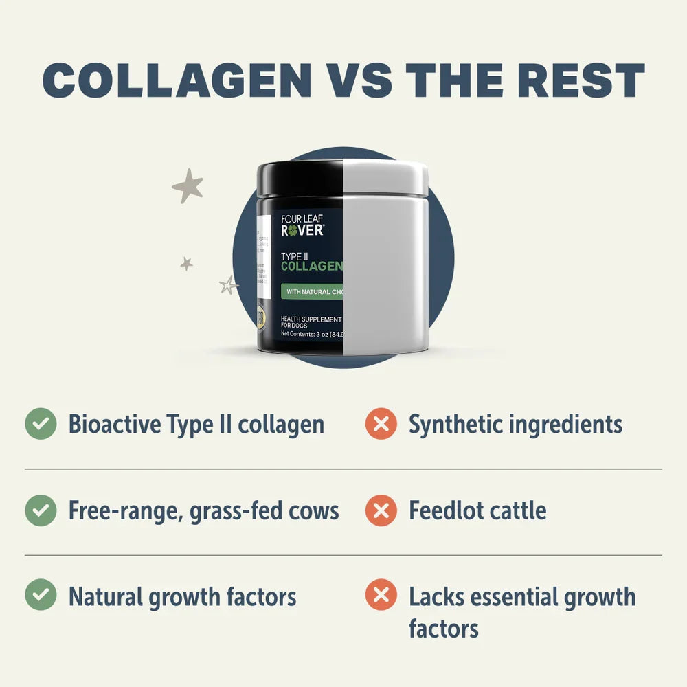 Collagen - Bone & Joint Support