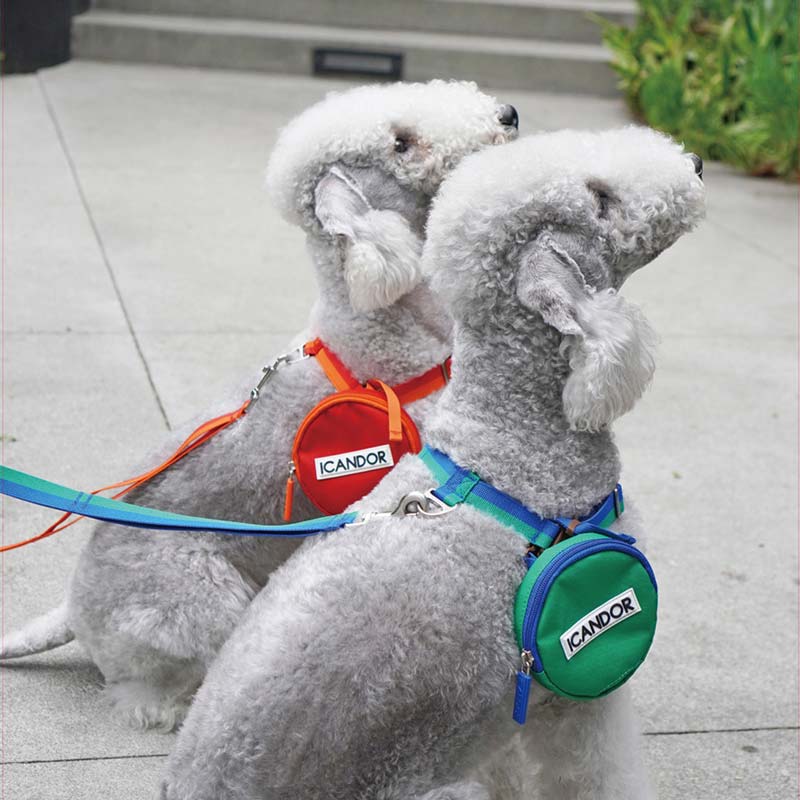 iCandor 3-in-1 Walking Kit: Forest