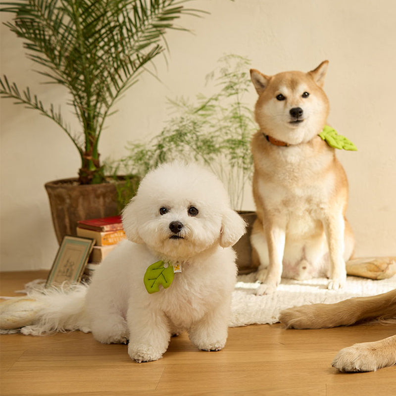 Basic Leaf Pet Collar Clip
