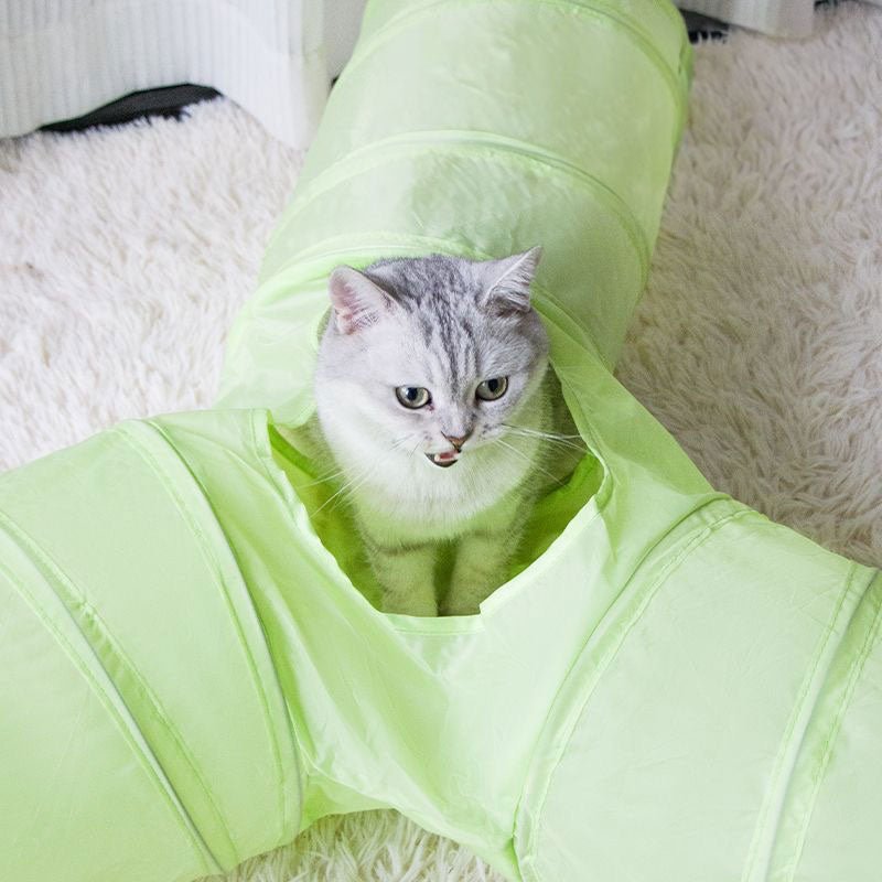 CreatureLand Neon Flower 3 - Way Cat Tunnel - CreatureLand