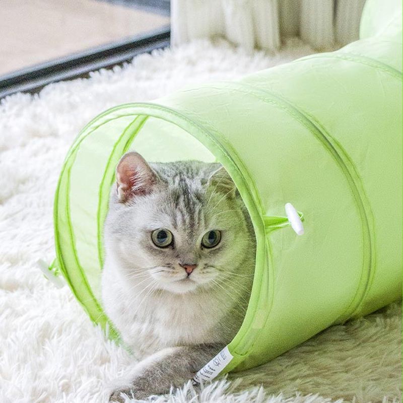 CreatureLand Neon Flower 3 - Way Cat Tunnel - CreatureLand